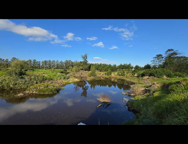 128,480M² FARM FOR SALE IN GREYTON
